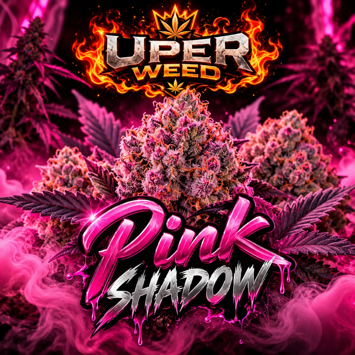 Pink Shadow