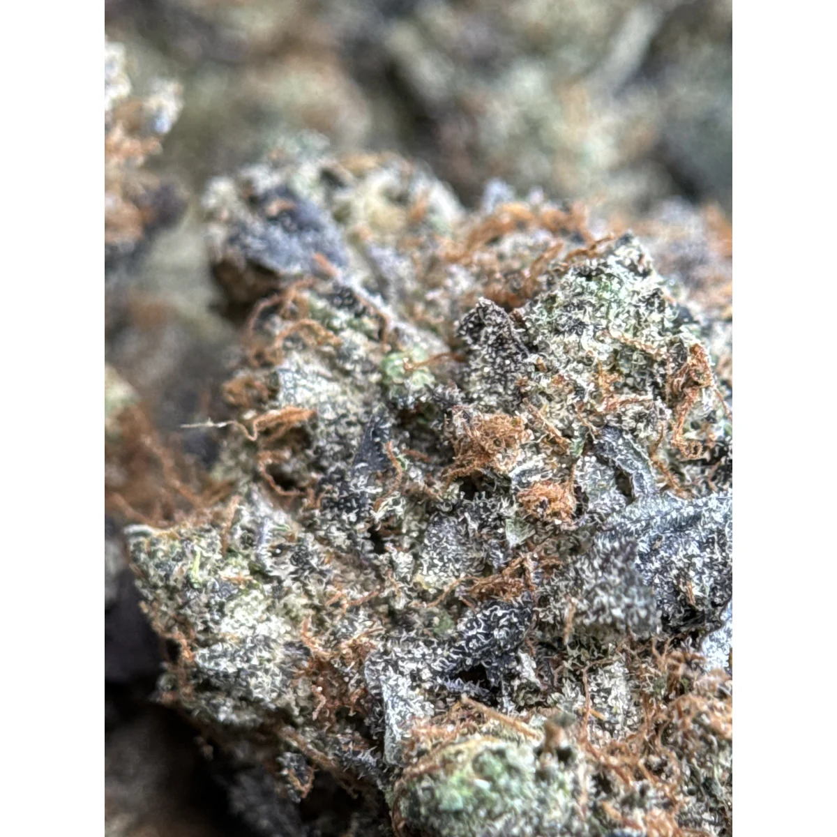Death Bubba product image 5