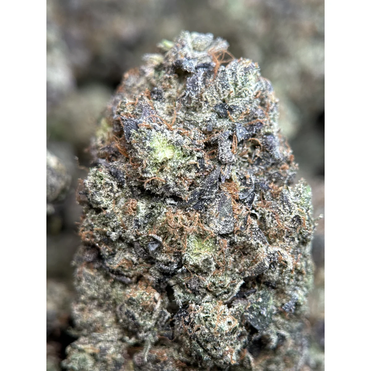 Death Bubba product image 4