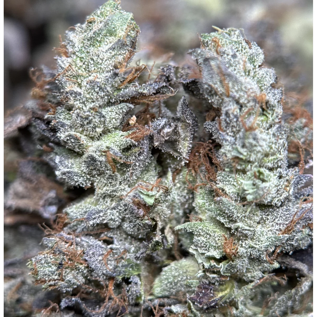 Stinky Pinky product image 3