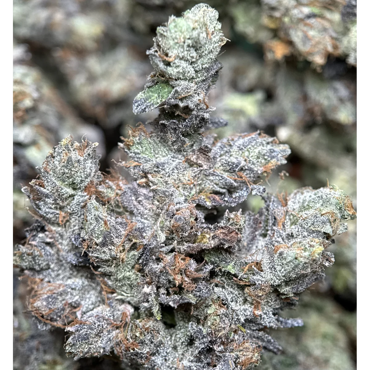Stinky Pinky product image 4