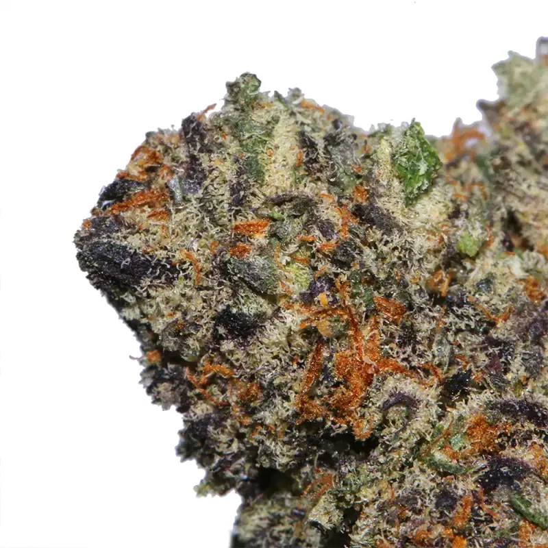 Knockout Runtz - Cali Bricks product image