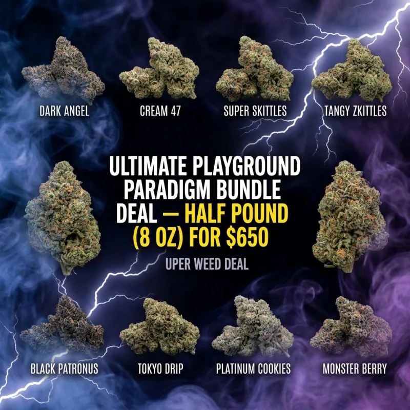Ultimate Playground Paradigm Bundle Deal — Half Pound (8 Oz) product image 2
