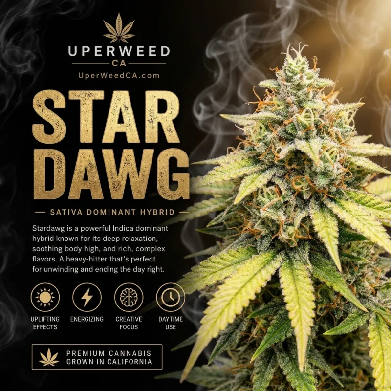Stardawg product image 1