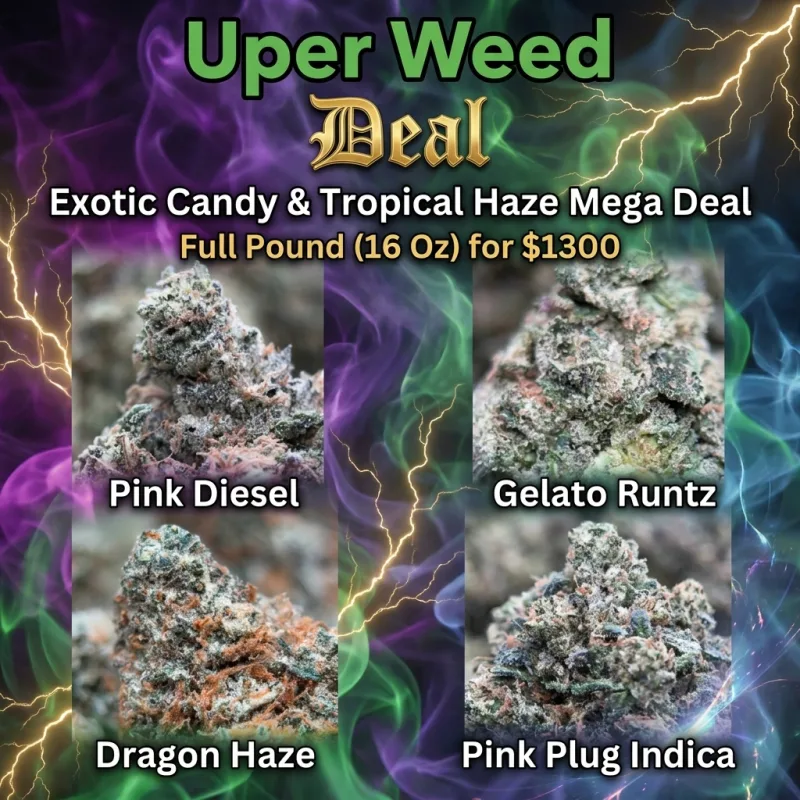 Exotic Candy & Tropical Haze Mega Deal – Full Pound ( 16 Oz ) for $1300 product image 3