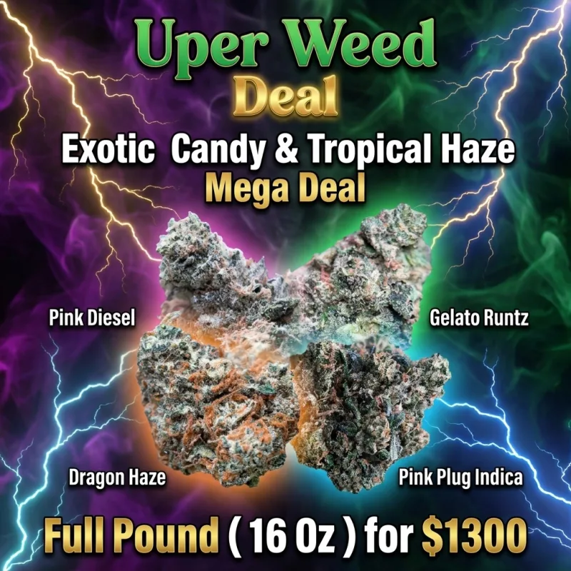 Exotic Candy & Tropical Haze Mega Deal – Full Pound ( 16 Oz ) for $1300 product image 1