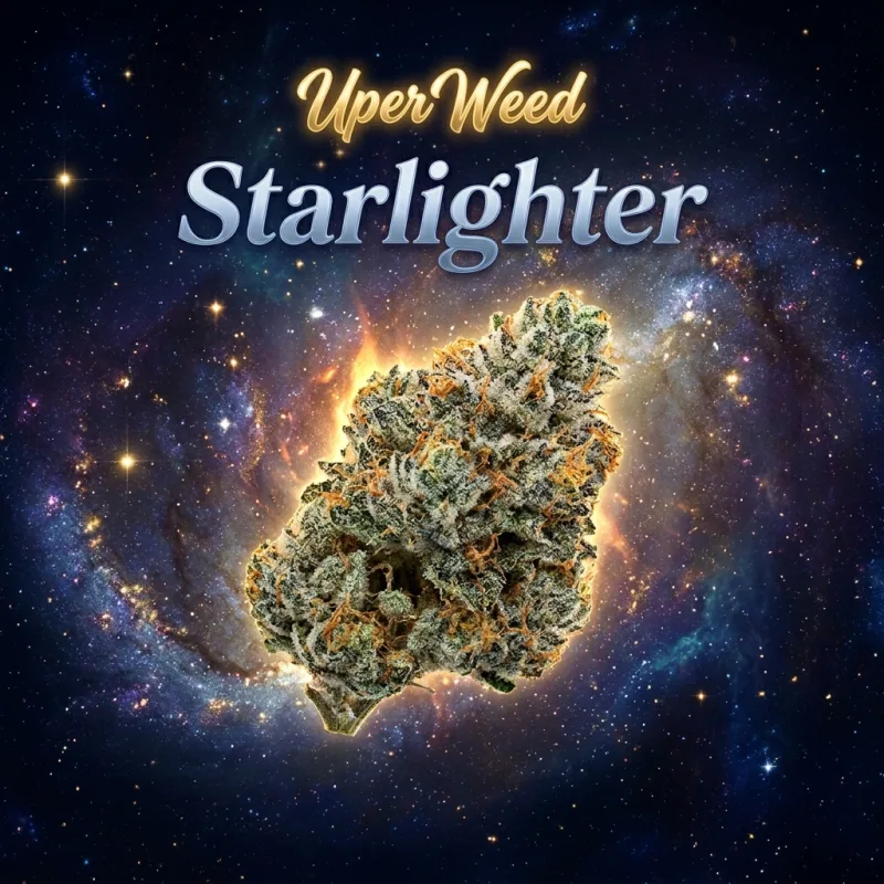 Starlighter product image 2
