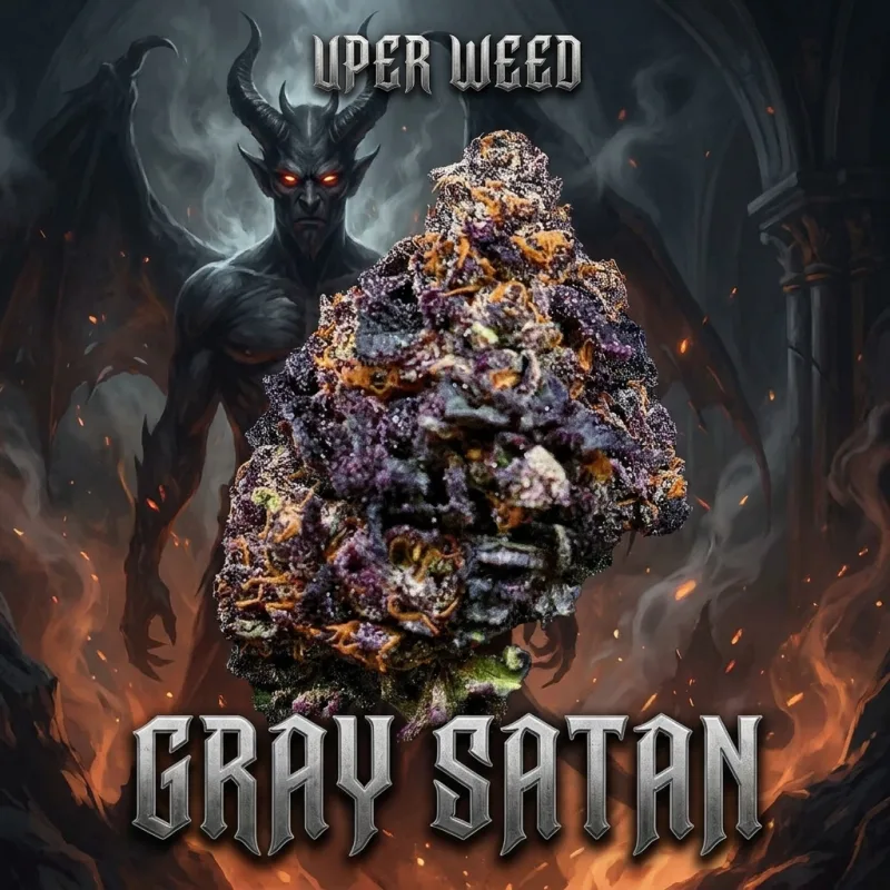 Gray Satan product image 2