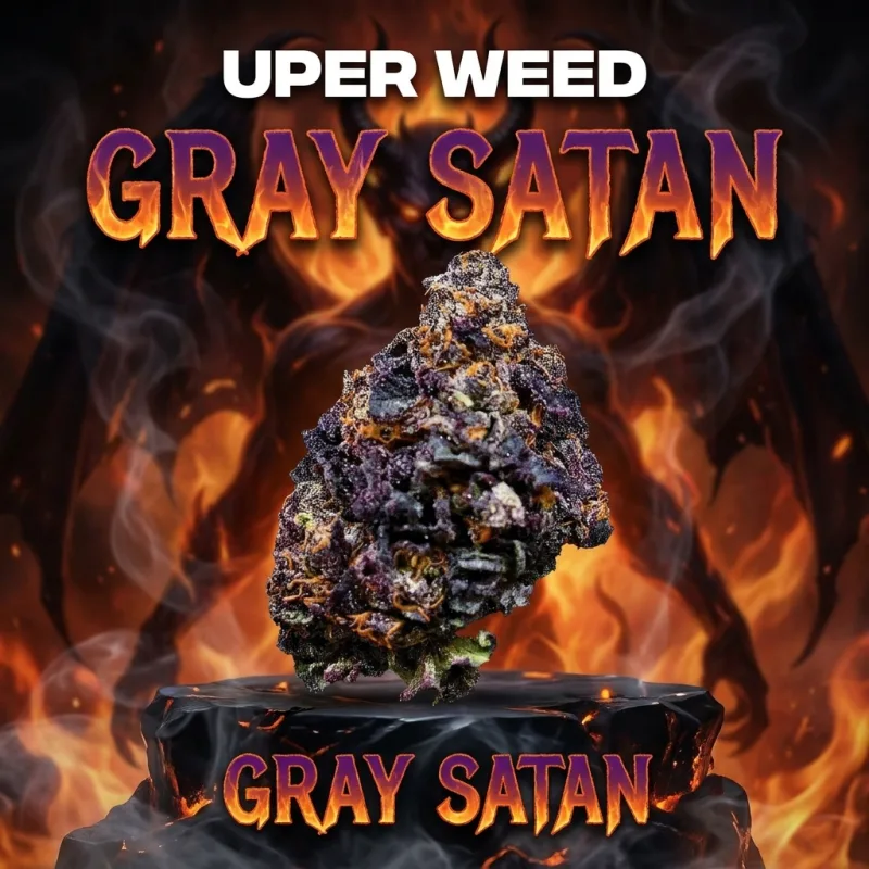 Gray Satan