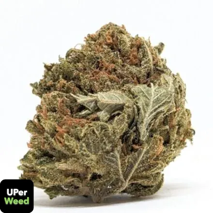 LA Confidential product image