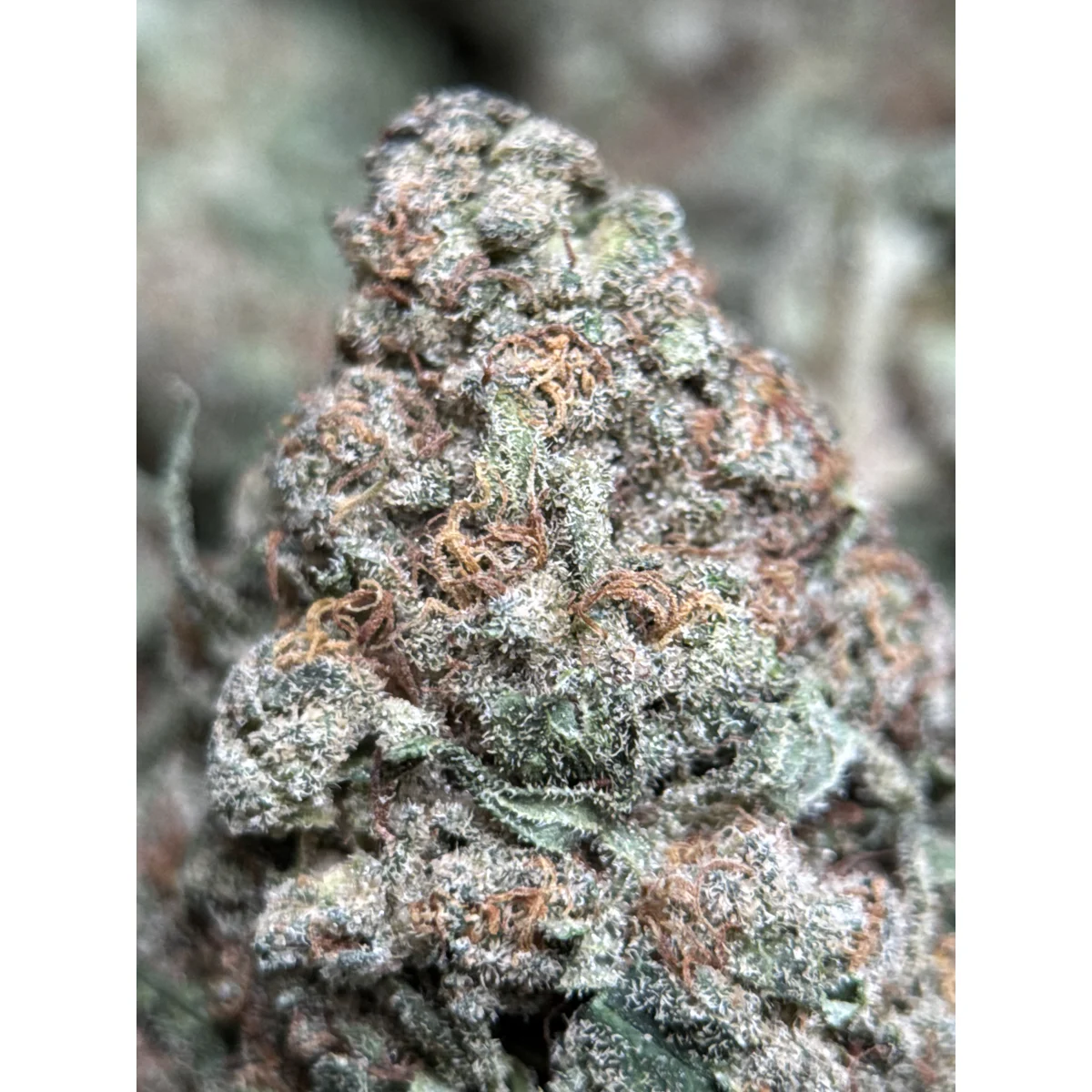 High Country Diesel product image 2