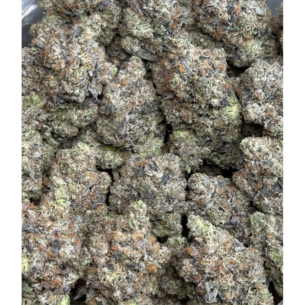 Death Tuna (Cali Bricks) product image 3