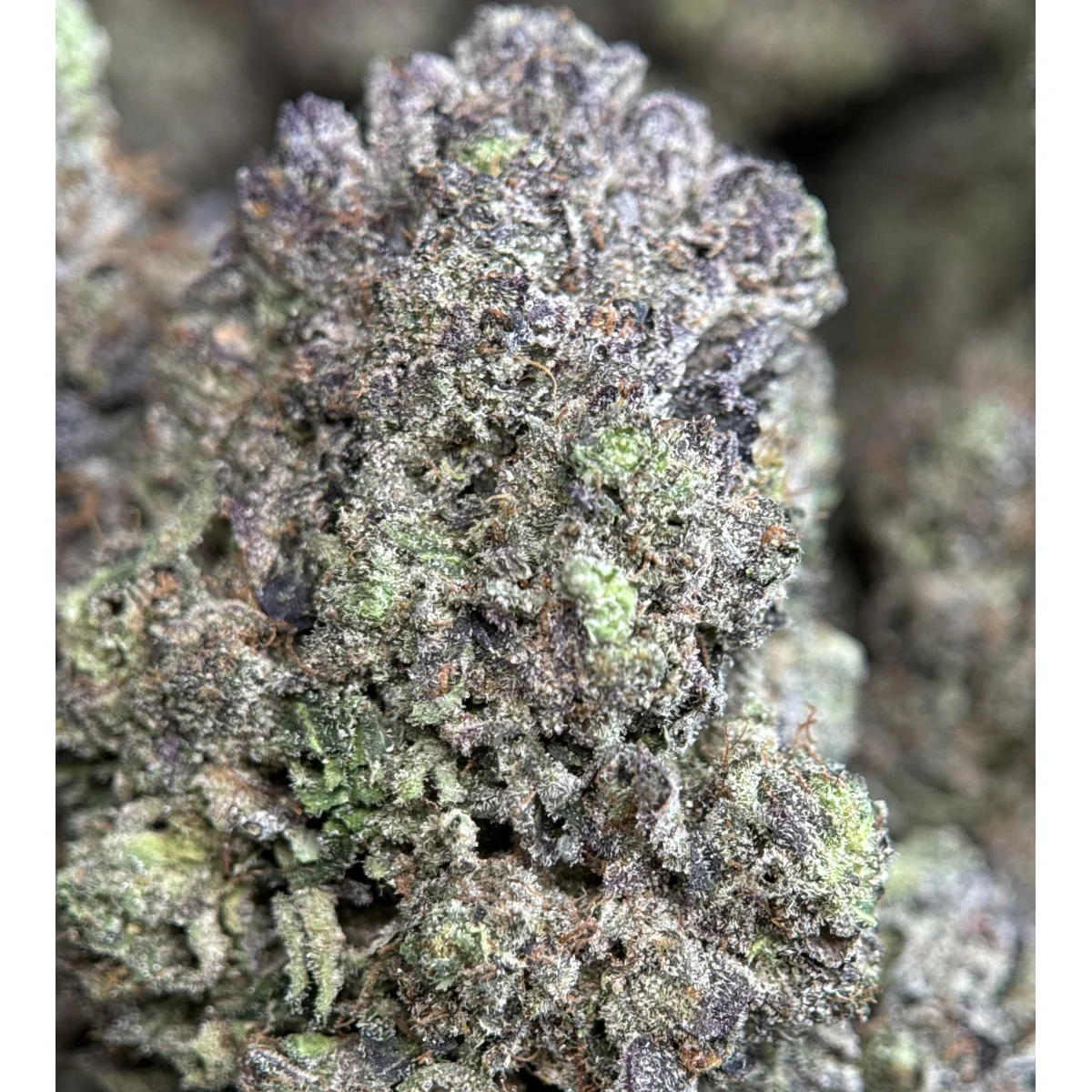 Pink Ice product image 5