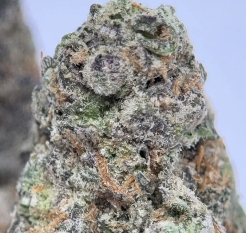 Black Ghost OG product image 3